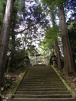 日記の画像