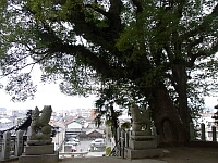 日記の画像