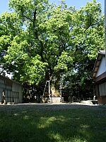 日記の画像
