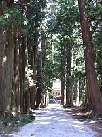 日記の画像