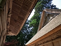 日記の画像