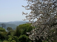 日記の画像
