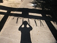 日記の画像