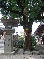 日記の画像