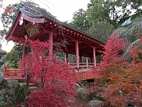 日記の画像