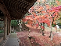 日記の画像