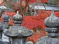 日記の画像