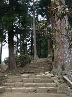 日記の画像