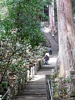 日記の画像