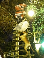日記の画像