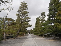 日記の画像