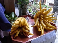 日記の画像