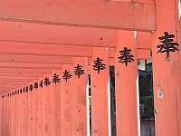 日記の画像