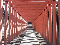 日記の画像