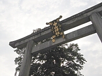 日記の画像