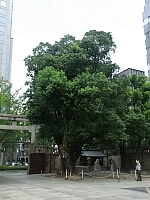 日記の画像