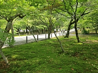 日記の画像