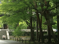 日記の画像
