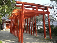 日記の画像