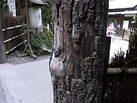 日記の画像