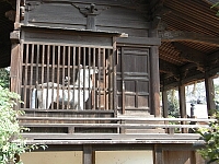 日記の画像