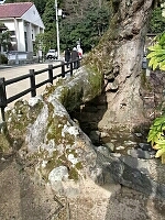 日記の画像