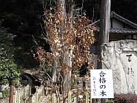 日記の画像