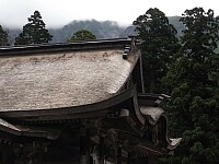 日記の画像