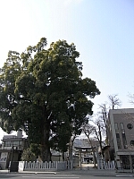 日記の画像