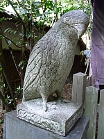 日記の画像