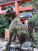 日記の画像
