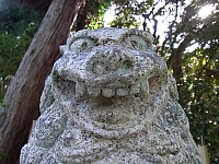 日記の画像