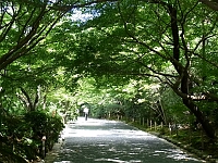 日記の画像