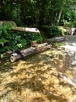 日記の画像