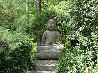 日記の画像
