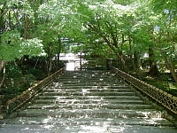 日記の画像