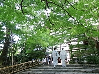 日記の画像