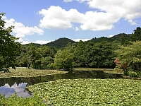 日記の画像