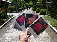 日記の画像