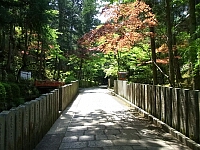 日記の画像