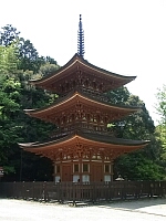 日記の画像