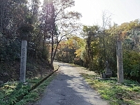 日記の画像