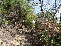 日記の画像