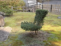 日記の画像