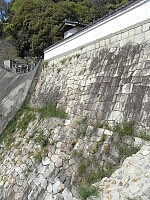 日記の画像