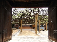 日記の画像