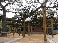 日記の画像