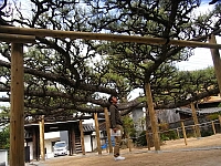 日記の画像