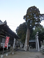 日記の画像