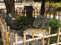 日記の画像